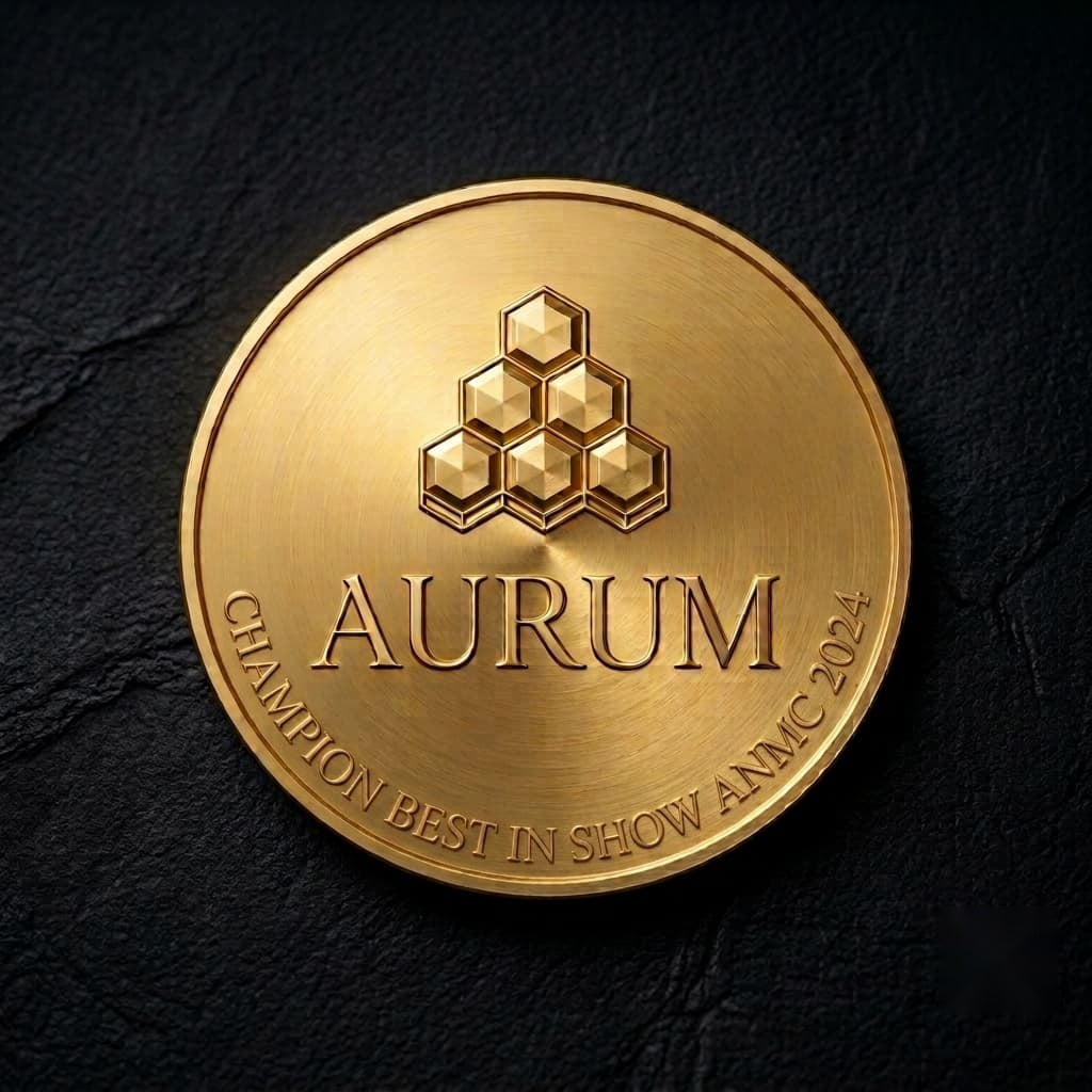 Gold medal with 'Aurum' logo and text on a dark background