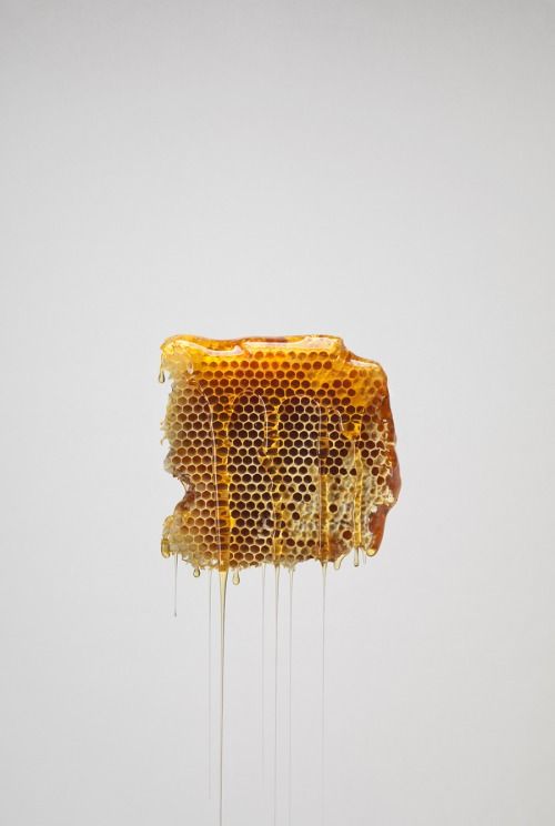 A single piece of raw honeycomb with dripping honey, suspended against a plain light gray background.